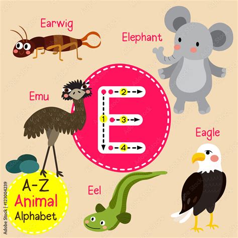 E Letter Tracing Eagle Earwig Eel Elephant Emu Cute Children Zoo