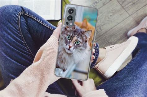 OnePlus Nord 2 5G Hoesje Kat Raam Katten Siliconen