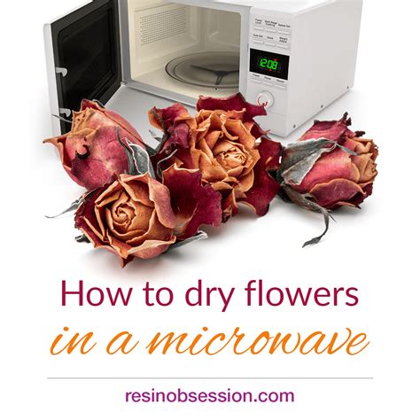 We did not find results for: How to dry flowers in a microwave - Resin Obsession