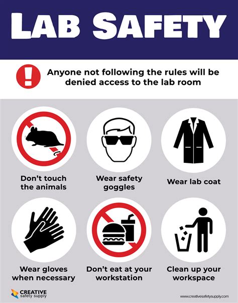 Lab Safety Symbols Activity