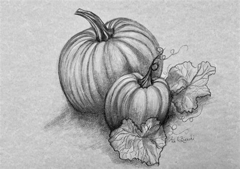 Pencil Drawing Of Autumn Themes September 13