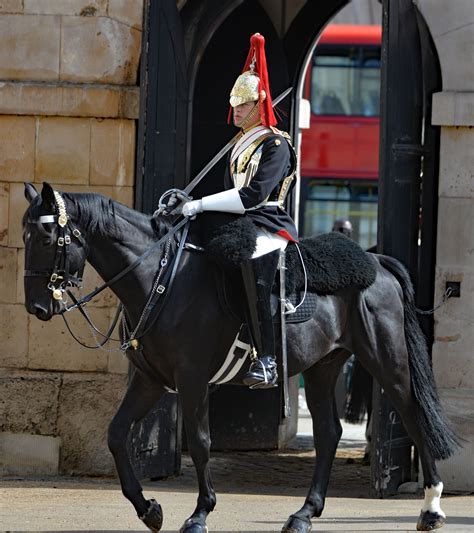 Blues And Royals Household Division Cavalry Photo By Tyler Kohn Royal