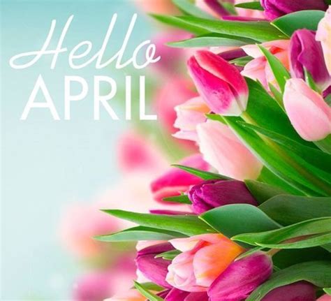 100 Hello April Images Pictures Quotes And Pics 2020