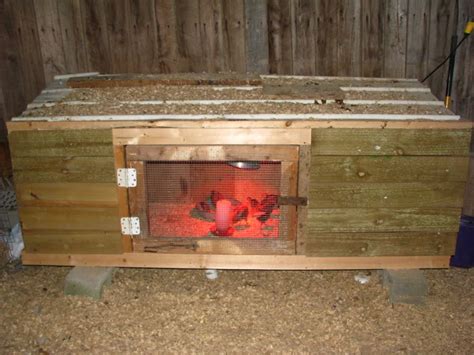 Ladyinreds Chicken Brooder Backyard Chickens Learn How To Raise