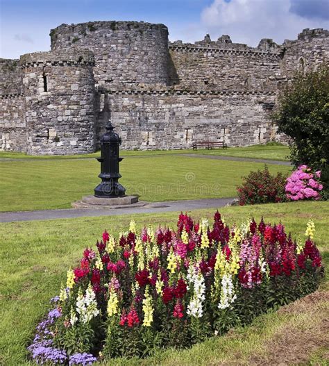 Un Château Fleuri De Beaumaris Sur Anglesey Pays De Galles Photo Stock