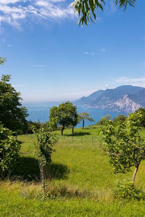 Beautiful Mountain View Monte Baldo Azure Blue Lago Di Garda And