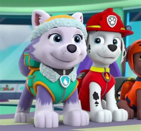 Marshall And Everest Paw Patrol Animated Couples Photo 40131004