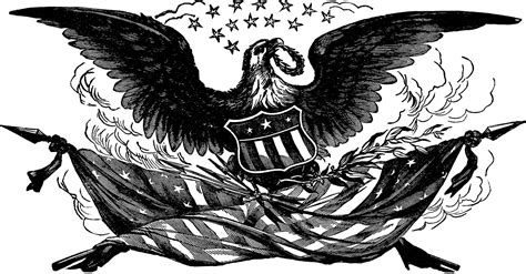 Eagle Clipart Black And White American Pictures On