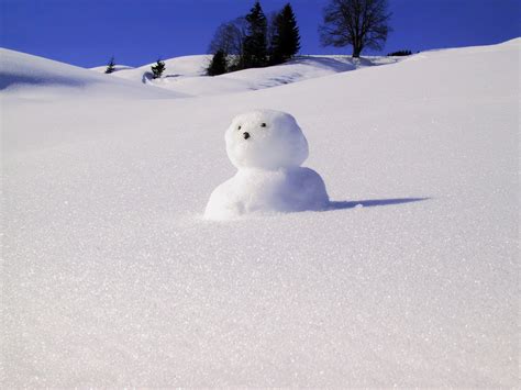 Free Images Cold Ice Weather Season Fun Snowman Build Blizzard
