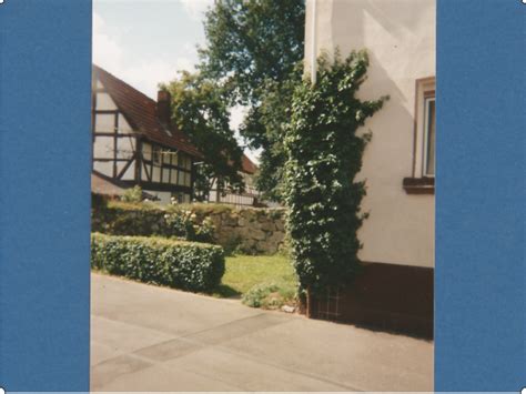 Ebenso für japan steht die hohe schule der gartenkunst; Selbstversorgung Garten Doku C3)