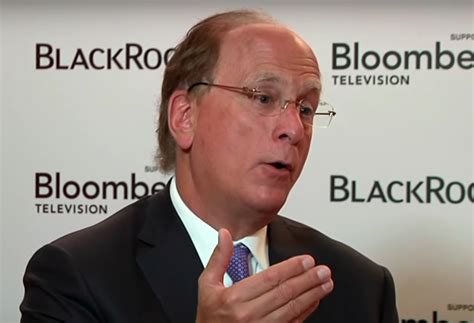 Investors Are Afraid Says Blackrock Ceo
