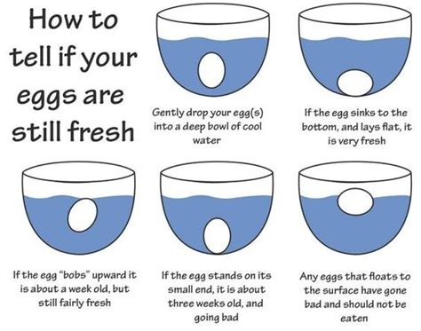 How To Tell If Eggs Are Fresh Good To Know Food Pinterest To