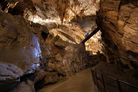 50 Breathtaking Postojna Cave Photos To Inspire You To
