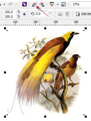 29 new photos of gambar burung hitam putih wallpaperzen org. Tutorial Membuat World Cities Through Letter Dengan ...