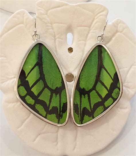 Lime Wing Butterfly Wing Earrings Butterfly Wing Jewelry Authentic