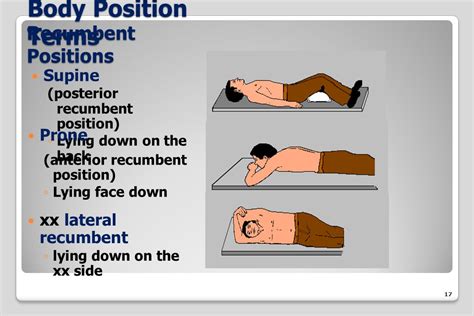 Introduction To Radiographic Positioning Positioning Terminology