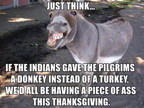 41 Hilarious Donkey Memes Images S Pictures And Photos Picsmine