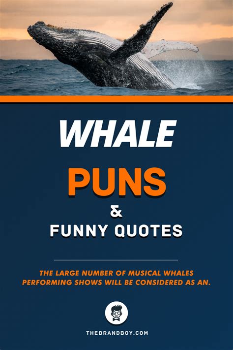 51 Best Whale Puns And Funny Quotes In 2023 Whale Jokes Whale Funny