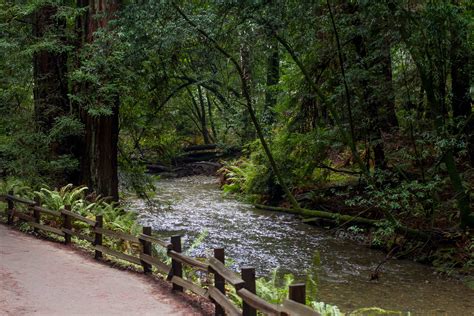 Muir Woods And Redwood Creek Watershed Planning Golden Gate National