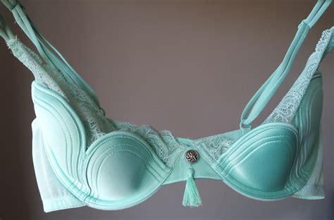 Style Analysis The Elegance Of The Quarter Cup Bra The Lingerie