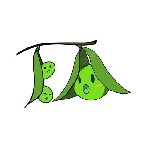 Pea Hd Transparent Pea Clip Art Quarrel Peas Clipart Png Image For