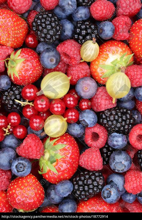 Beeren frische Früchte Frucht Obst Erdbeeren - Stockfoto - #18772914 - Bildagentur PantherMedia