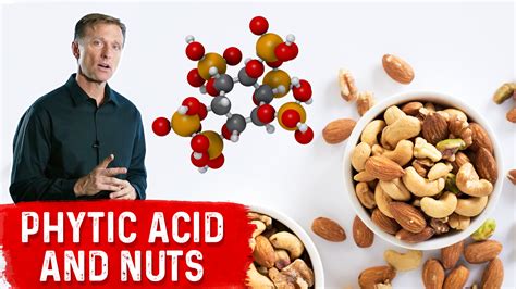 Nuts Have The Highest Phytic Acid Healthy Keto™ Dr Berg