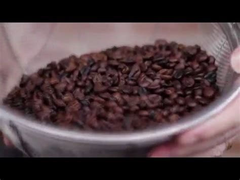 Air poppers are fluid bed roasters, as are the fresh roast sr300 and fresh roast sr500 home coffee roasters available on our home coffee roasters page. How To Roast Gourmet Coffee Beans at Home (and Save Money ...