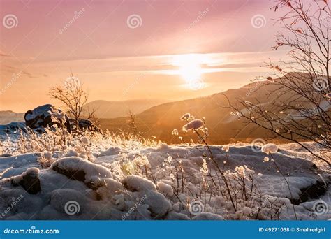 Fantastic Winter Landscape At Sunset Stock Photo Image Of December