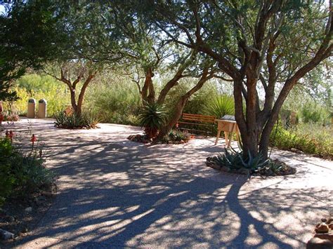 Mesquite tree removal after pic. Pin on Arizona = Home