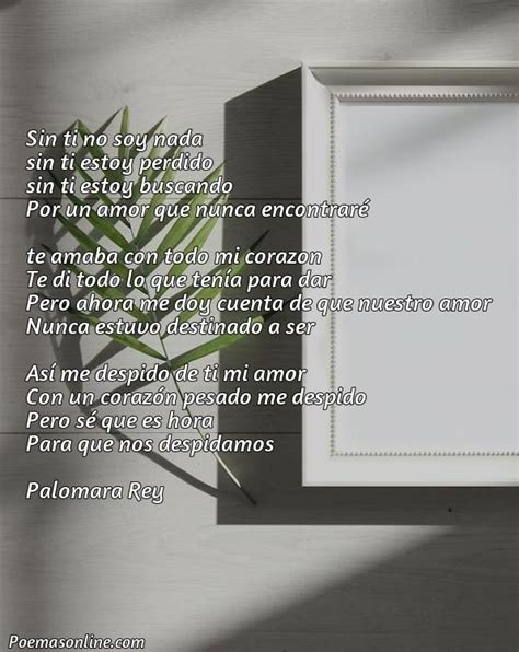 Cinco Poemas Corto De Despedida A Un Amor Poemas Online Hot Sex Picture