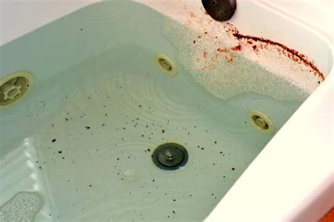 Cleaning a whirlpool bath is a good idea. How to Clean Your Jetted Tub - Rachel Teodoro