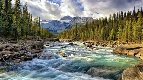 Alberta Canada Rocky Mountain River Riverbed With Rocks Pine Forest