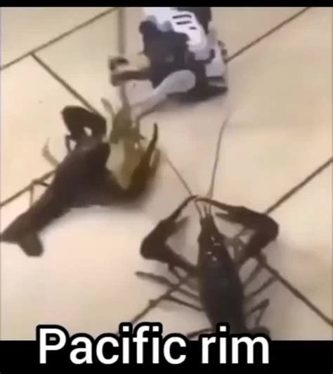 Pacific Rim Meme Subido Por S H O O T E R Memedroid