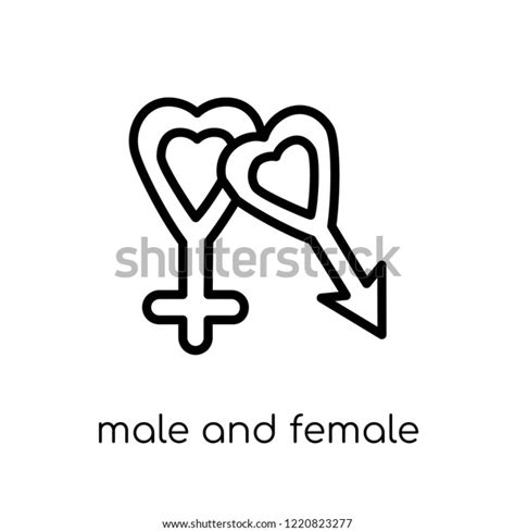 Male Female Gender Symbols Icon Trendy Stock Vector Royalty Free 1220823277 Shutterstock