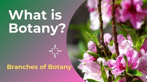 What Is Botany Branches Of Botany Introduction To Botany Science