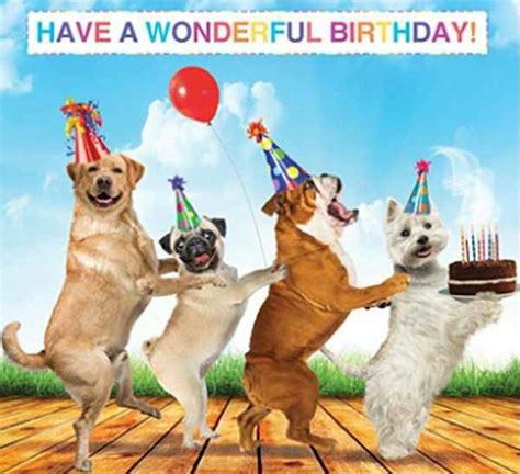 The 25 Dog Birthday Wishes That You Need To Add Humor To Your Birthdays