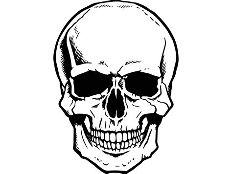 Skeleton Head Svg