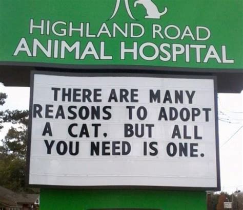 Funny Vet Clinics Signs About Cats Funny Cat Veterinary Clinic Signs