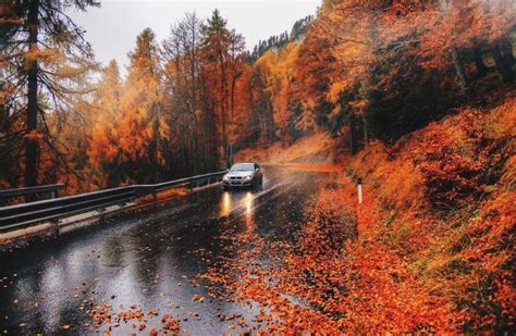 Autumn Scenery Autumn Trees Autumn Leaves Monument October Country