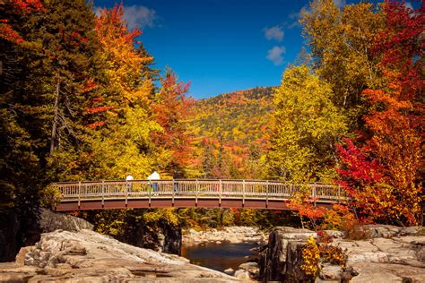 Bridge In Forest In Autumn Free Stock Photo Public Domain Pictures