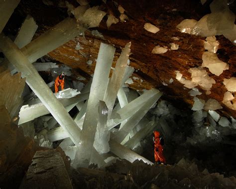 Cave Of The Crystals Or Giant Crystal Cave Animal Photo