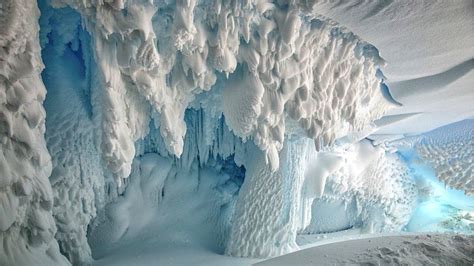 Unknown Species May Thrive In Antarctic Caves Bbc News