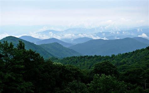 Top 10 Facts About The Blue Ridge Mountains Discover Walks Blog