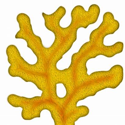 Coral Clipart Yellow Clip Cliparts Tree Library
