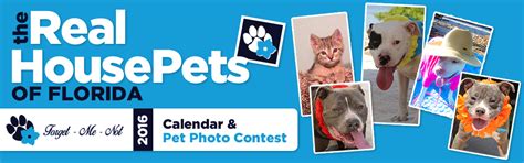 Areas bradenton poodle rescue serves. Real House Pets of of Florida Calendar & Pet Photo Contest ...