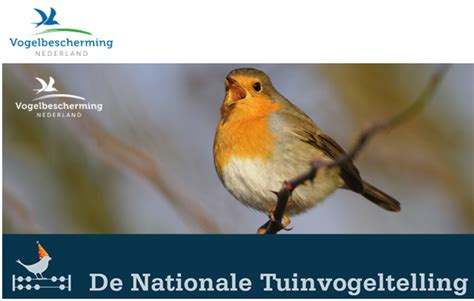 Hasil diatas adalah hasil pencarian dari anda tuinvogeltelling mp3 dan menurut kami yang paling cocok adalah tuinvogeltelling. Nationale Tuinvogeltelling | IVN