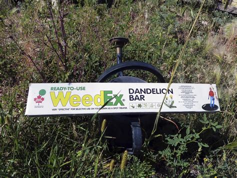 We did not find results for: Looking for a friendly herbicide - Winnipeg Free Press Homes