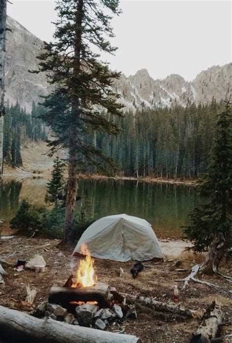 Hipster Landscape Indie Nature Travel Tent Forest Earth World Land