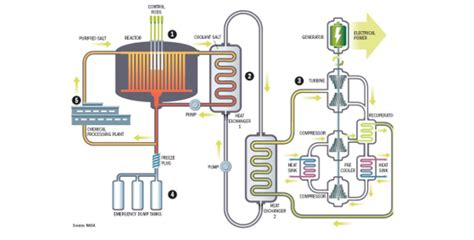Since thorium is not soluble it will not be taken up by corals or incorporated into speleothems, so this decay series can be used to date quaternary age specimens with a pretty. Is Thorium the Fuel of the Future to Revitalize Nuclear ...